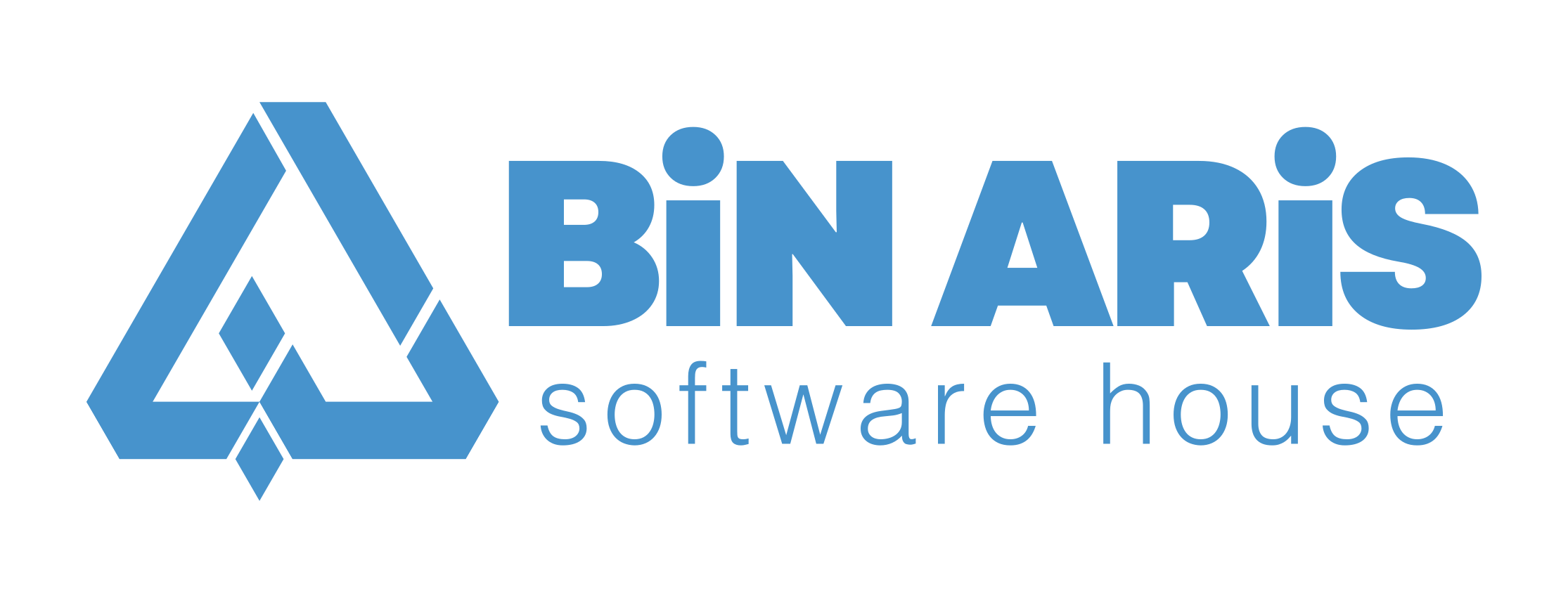Bin Aris Corp Logo
